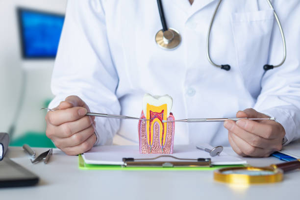 Best Broken or Cracked Tooth Emergency Dentist in Kimberling City, MO